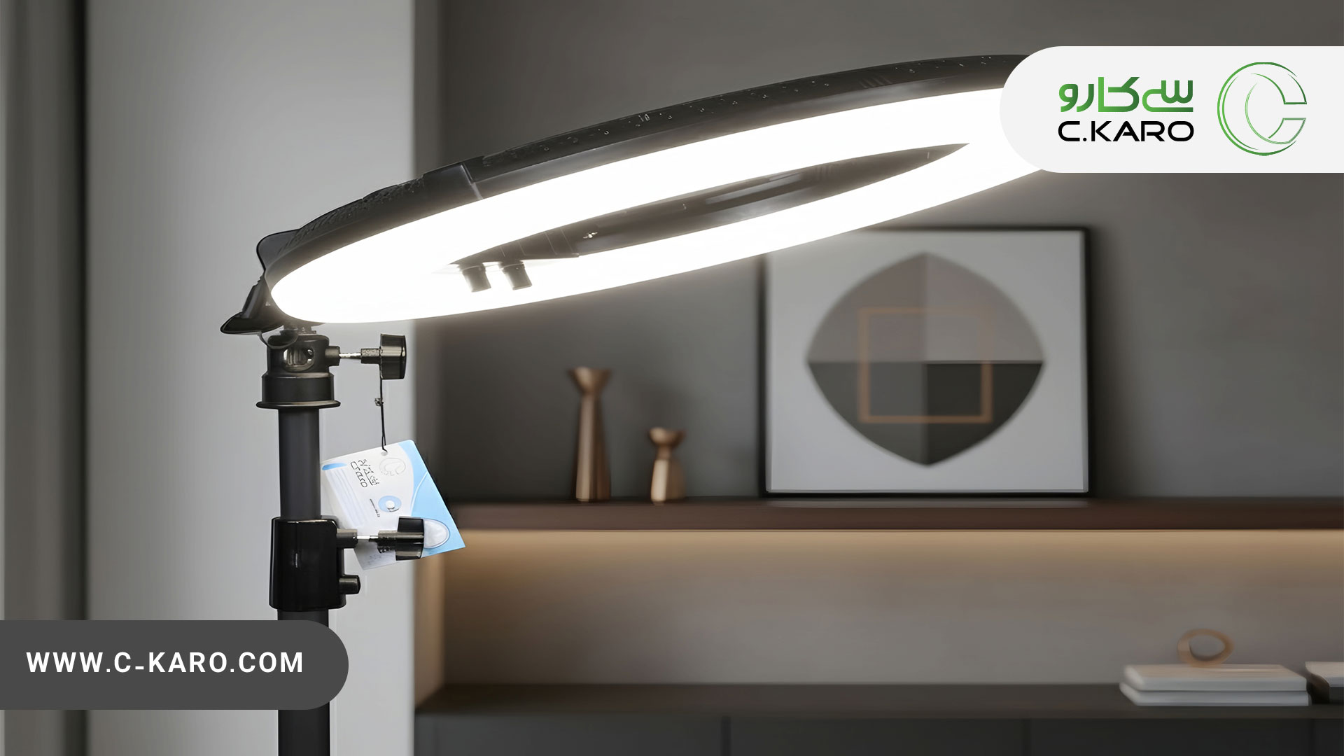 رینگ لایت مناسب بلاگری