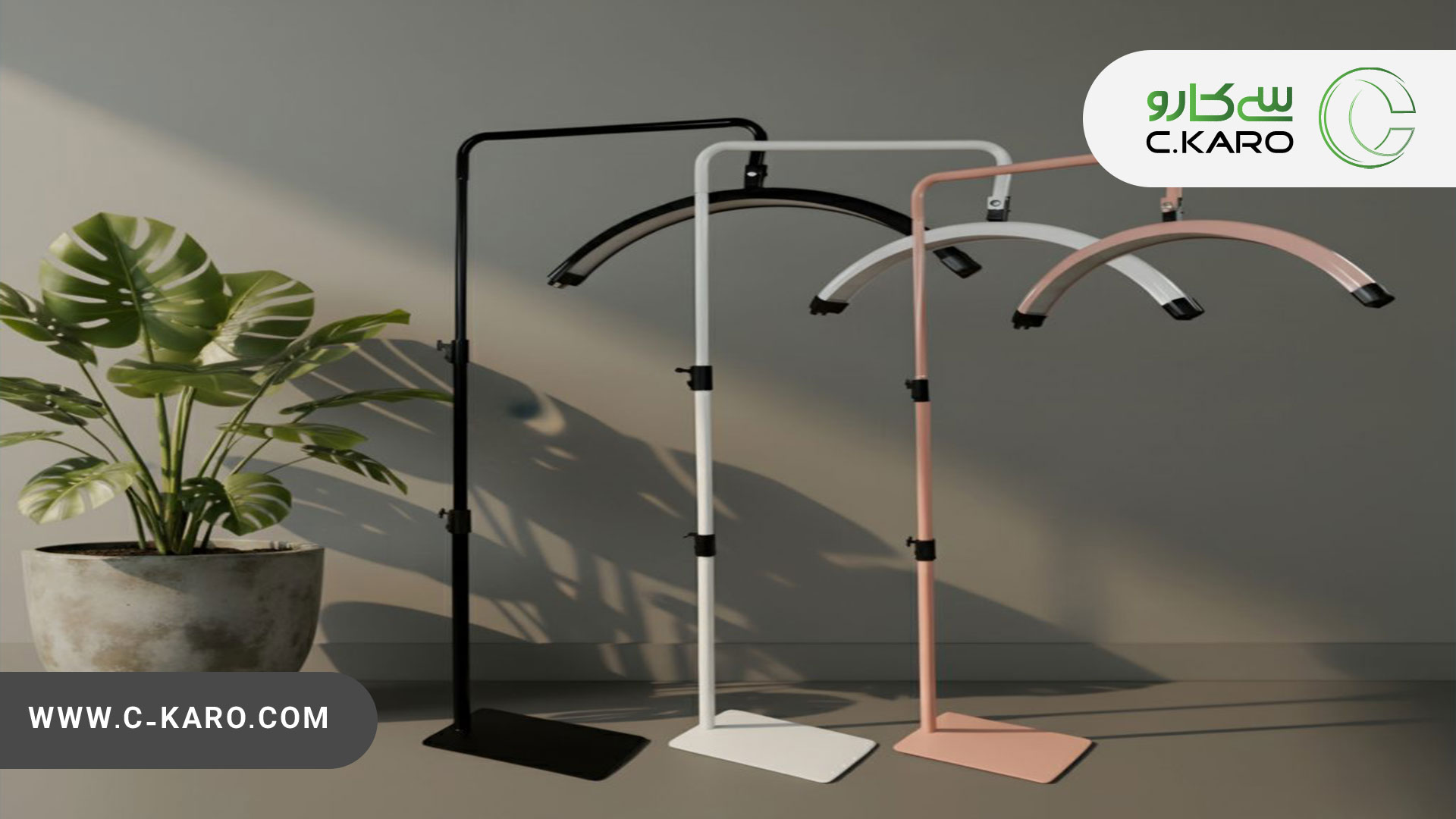 مون لایت - سی کارو